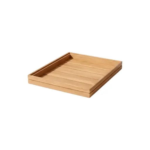 [BD 6009.3] Standard 1/1 Tray