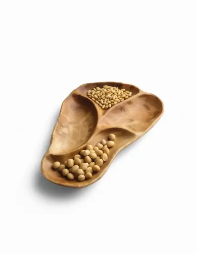 [OB 3052] Shell Plate