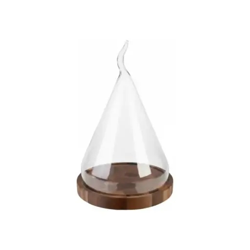 [BD 6054.4] Glass Cloche
